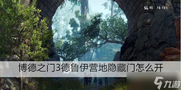 博德之门3德鲁伊营地隐藏门怎么开