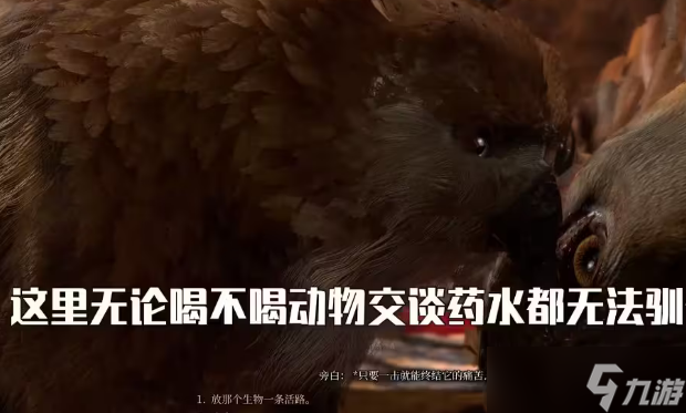 博德之门3枭熊怎么驯服