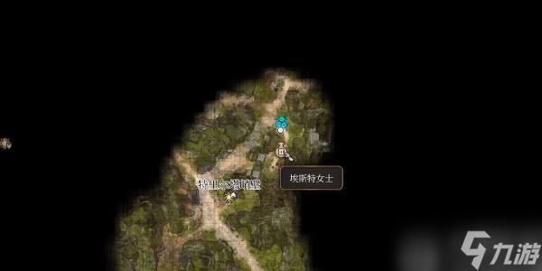 博德之门3热情灰烬手套怎么获取-博德之门3热情灰烬手套获取攻略