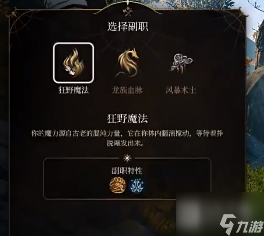 博德之门3奉献之誓圣武士开荒BD推荐