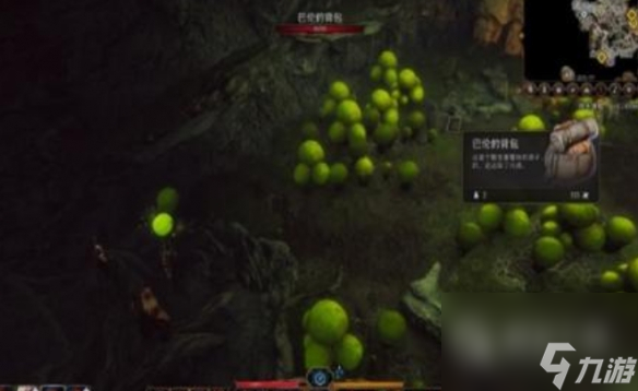 博德之门3蘑菇猎人在哪指南
