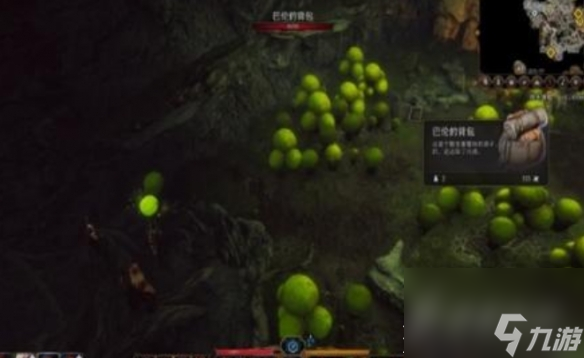 博德之门3蘑菇猎人位置