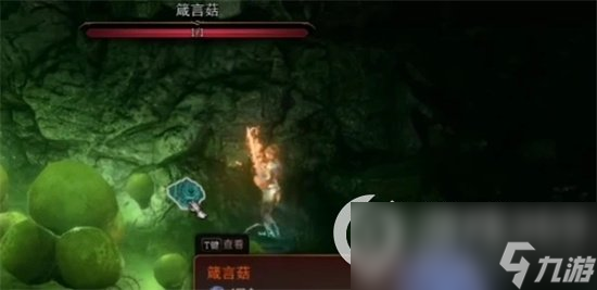 《博德之门3》箴言菇怎么获得 箴言菇获取方法介绍