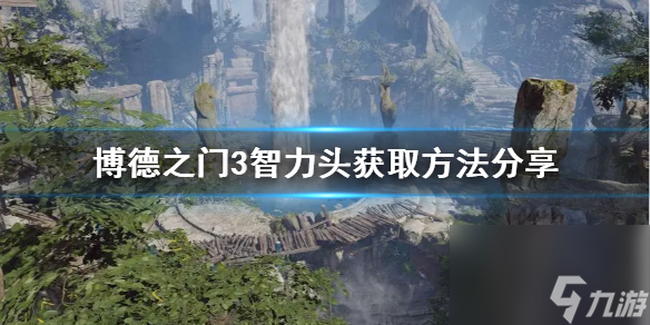 《博德之门3》智力头获取办法共享 智力头在哪取得？