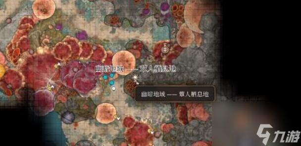 博德之门3极效奥术滋养灵药如何获取