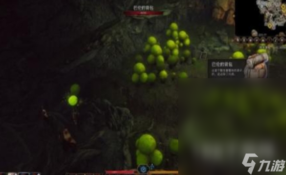 博德之门3蘑菇猎人位置