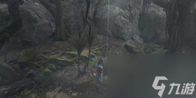 《博德之门3》混沌青蛙的奖励获得方法介绍