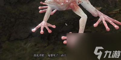 《博德之门3》混沌青蛙的奖励获得方法介绍