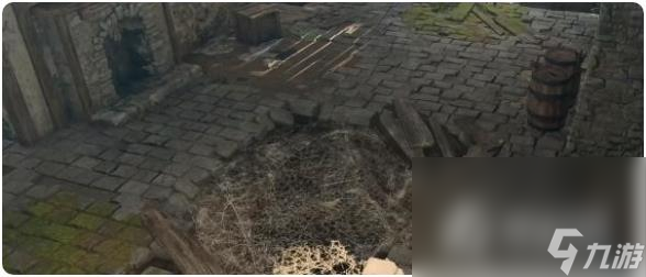 《博德之门3》高崖图纸获得方法