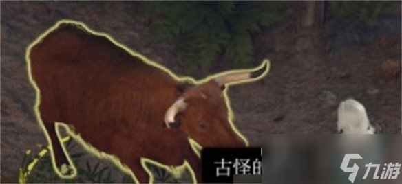 博德之门3古怪的公牛介绍