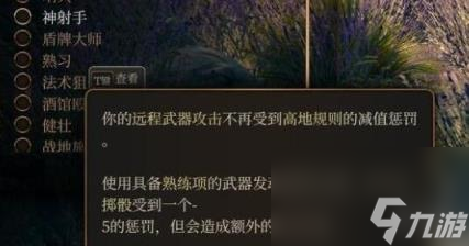 博德之门3盗贼武器配装推荐 盗贼双手弩射爆流bd分享