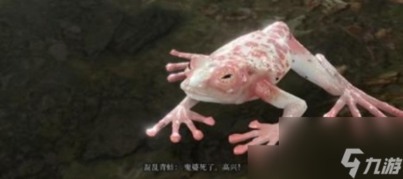 《博德之门3》混沌蛙奖励怎么获得？ 混沌蛙奖励获取攻略