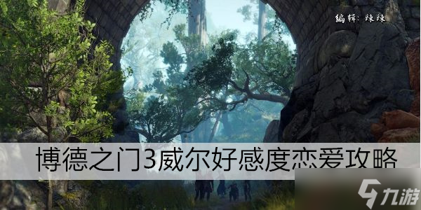 博德之门3威尔好感度恋爱攻略