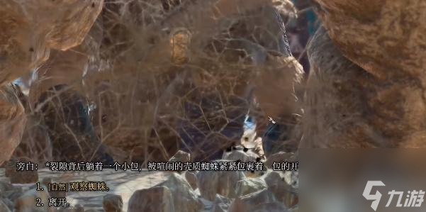 博德之门3蜘蛛卵囊有什么用-博德之门3蜘蛛卵囊怎么获得