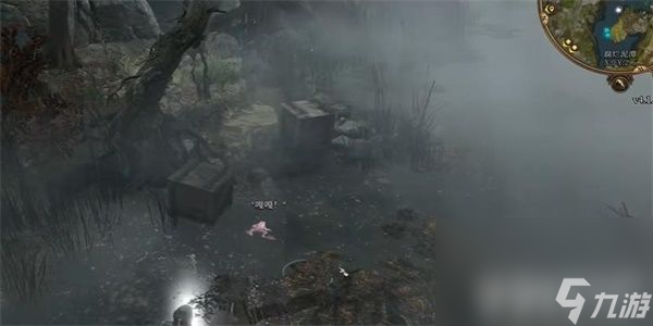 《博德之门3》混乱青蛙奖励如何获取 混乱青蛙奖励获取方法