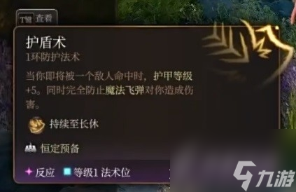 博德之门3奉献之誓圣武士开荒BD介绍