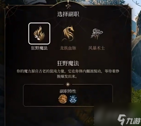 博德之门3奉献之誓圣武士开荒BD介绍