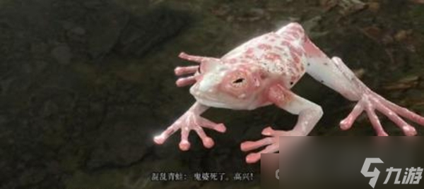 《博德之门3》混沌蛙奖励获得方法