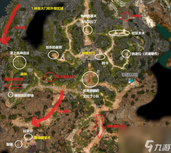 《博德之门3》翠绿林地地下通道在哪？翠绿林地外围探索要点