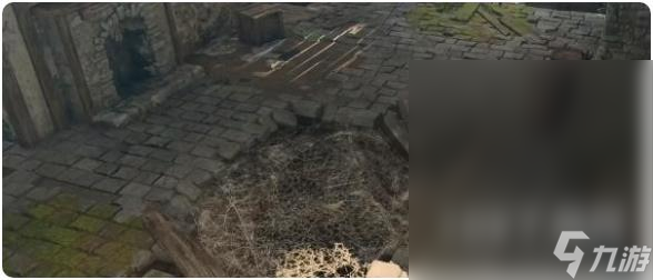 博德之门3高崖图纸获得方法攻略