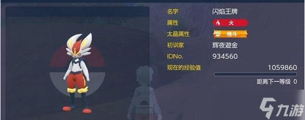 宝可梦朱紫闪焰王牌怎么打