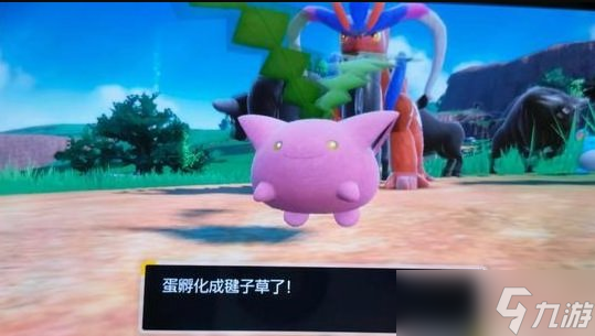 《宝可梦朱紫》怎么孵蛋 孵蛋系统介绍