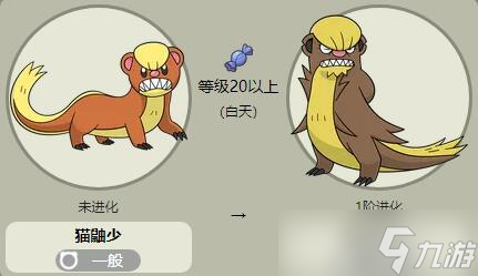 宝可梦朱紫猫鼬少怎么样
