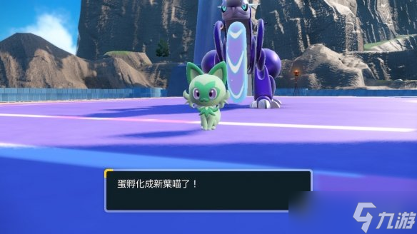 《宝可梦朱紫》双打对战队伍搭配思路 双打对战连胜队伍怎么选？