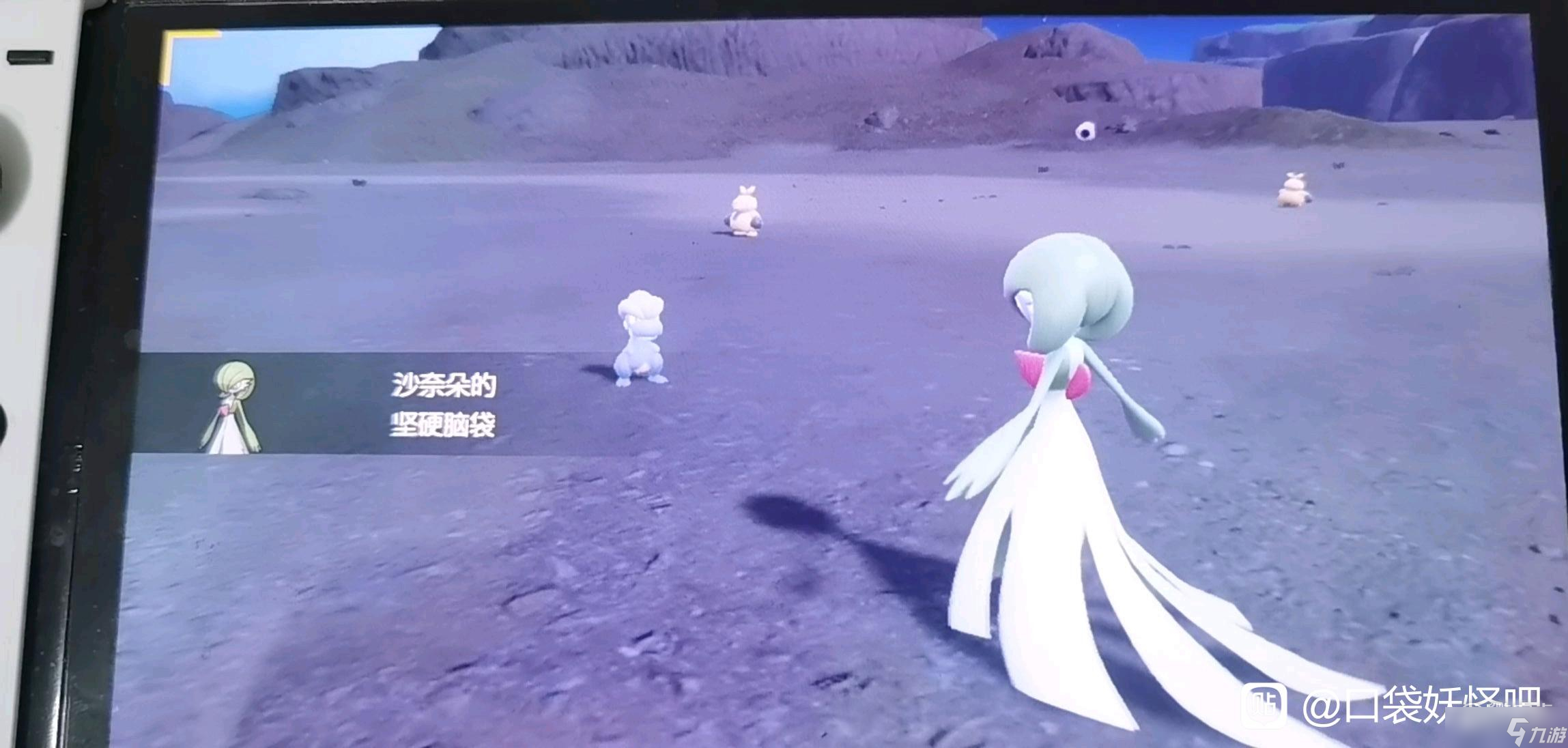 《宝可梦朱紫》宝贝龙捕捉位置介绍
