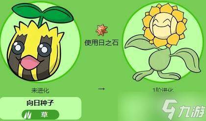 宝可梦朱紫向日种子怎么样
