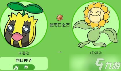 宝可梦朱紫向日花怪怎么样