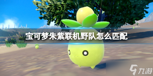 《宝可梦朱紫》联机野队怎么匹配？六星坑宝可梦努力值技能搭配