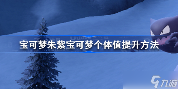 宝可梦朱紫宝可梦个体值怎么提升 宝可梦朱紫宝可梦个体值提升方法
