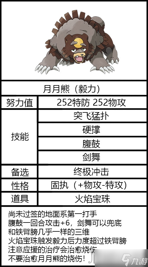 《宝可梦朱紫》太晶坑月月熊配置推荐