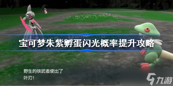 宝可梦朱紫孵蛋闪光概率 宝可梦朱紫孵蛋闪光概率提升攻略