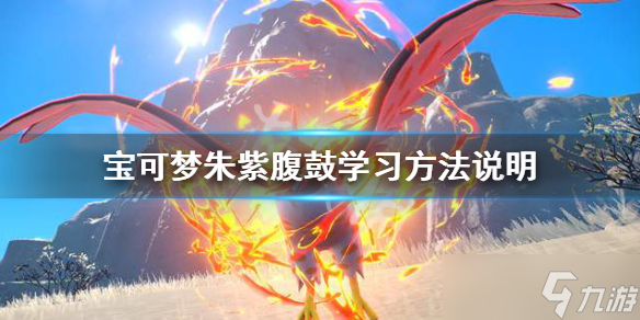 《宝可梦朱紫》腹鼓在哪学？腹鼓学习方法说明