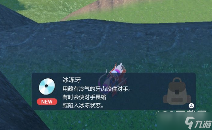 《宝可梦朱紫》冰冻牙技能机获取位置