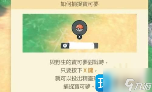 宝可梦朱紫如何扔球-直接扔球方法