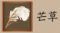 《阴阳师》SP辉夜姬活动真实之羽怎么玩 真实之羽玩法攻略