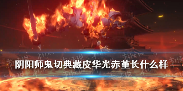 《阴阳师》鬼切典藏皮肤华光赤堇长什么样 五周年鬼切典藏皮预告