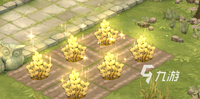 森之国度种植植物推荐 森之国度种植植物攻略