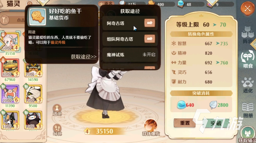 森之国度猫灵推荐一览 森之国度什么猫最灵厉害