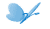 蝴蝶2.gif