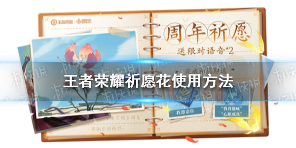 《王者荣耀》祈愿花怎么用 王者荣耀祈愿花使用方法