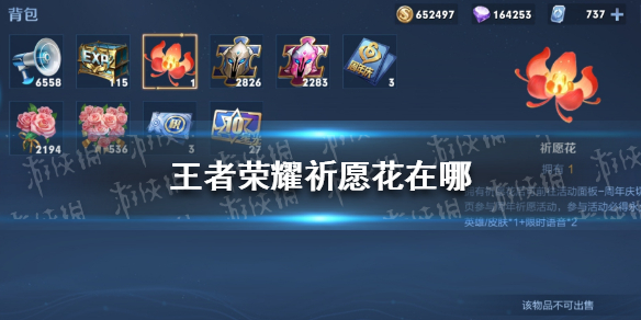 《王者荣耀》祈愿花在哪 王者荣耀祈愿花具体位置