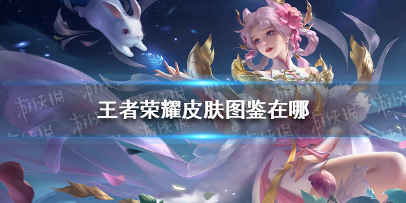 《王者荣耀》皮肤图鉴在哪 王者荣耀皮肤图鉴入口介绍