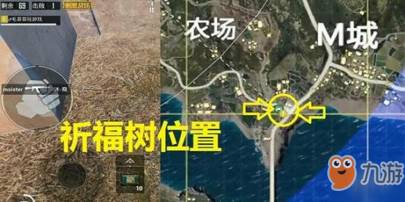 《和平精英》最小的树位置介绍 不使用倍镜就很难找到
