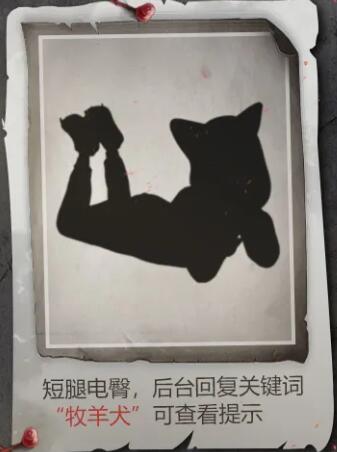 附件1607924757.jpg