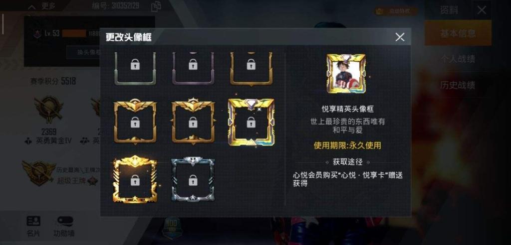2.jpg