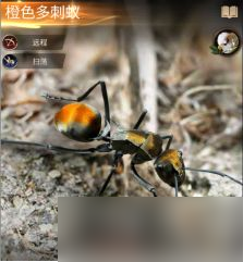 《小小蚁国》特化蚁的属性介绍